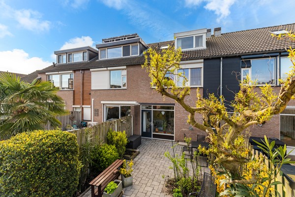 Albert Schweitzererf 6_27.jpg